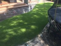The Synthetic Grass Project image 4